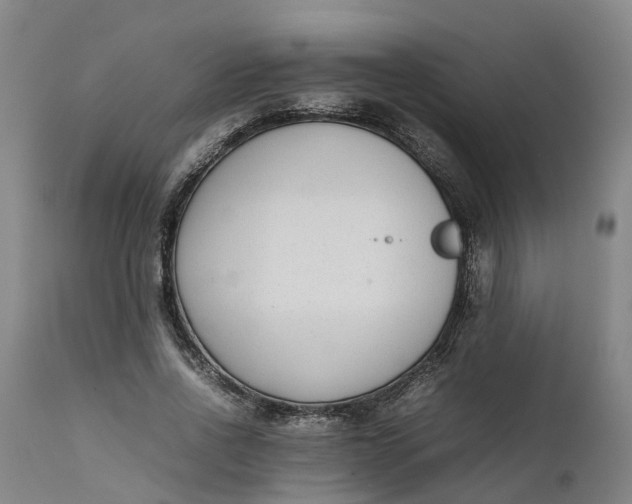 X0000111650734200907311316