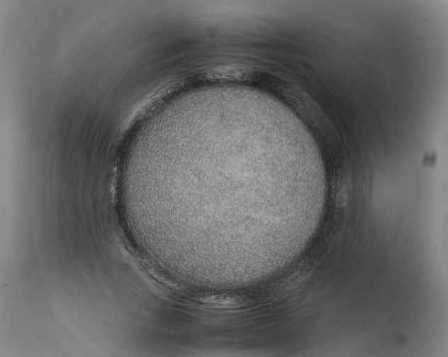 X0000111650735200907311316