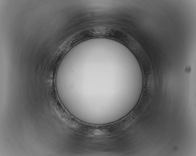 X0000111650737200907311316