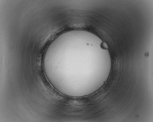 X0000111650739200907311316