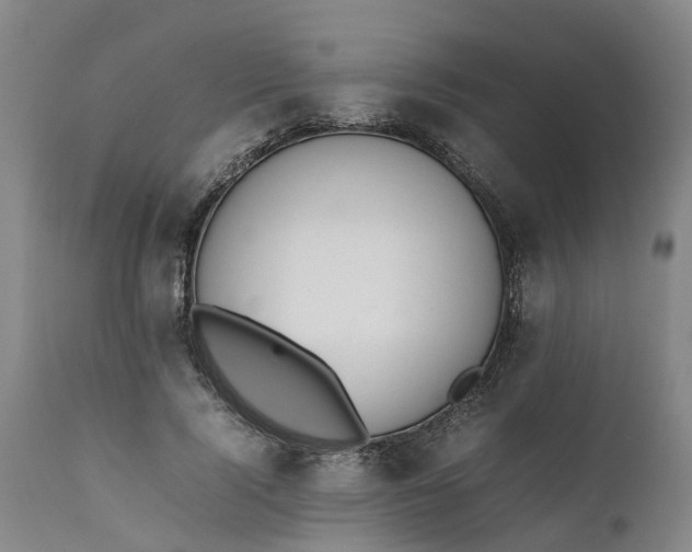 X0000111650740200907311316