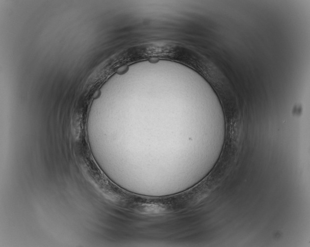 X0000111650741200907311316