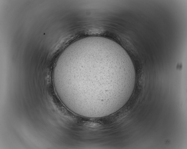 X0000111650743200907311316