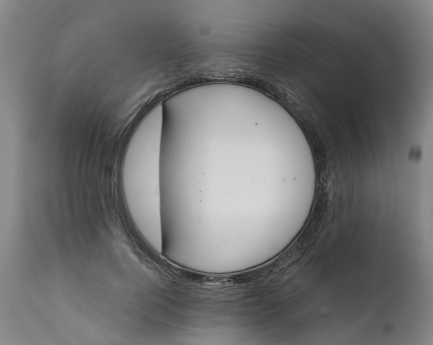 X0000111650744200907311316