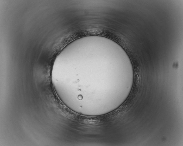 X0000111650745200907311316