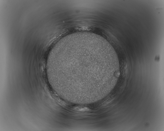 X0000111650747200907311316