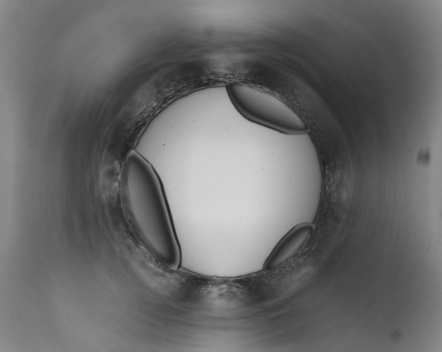 X0000111650752200907311316
