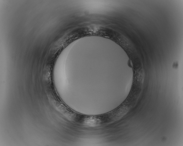 X0000111650754200907311316