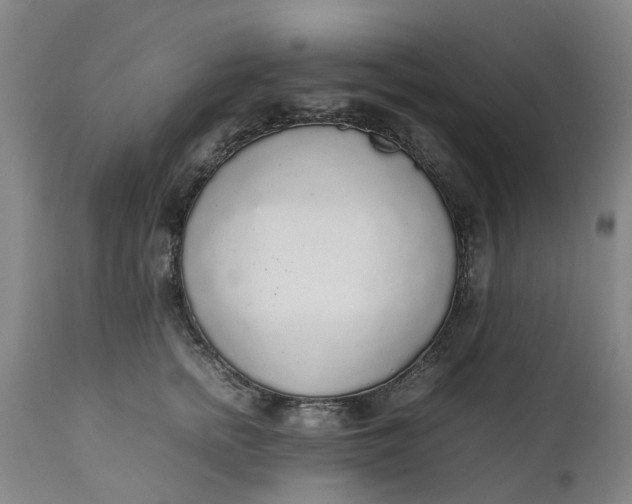 X0000111650758200907311316