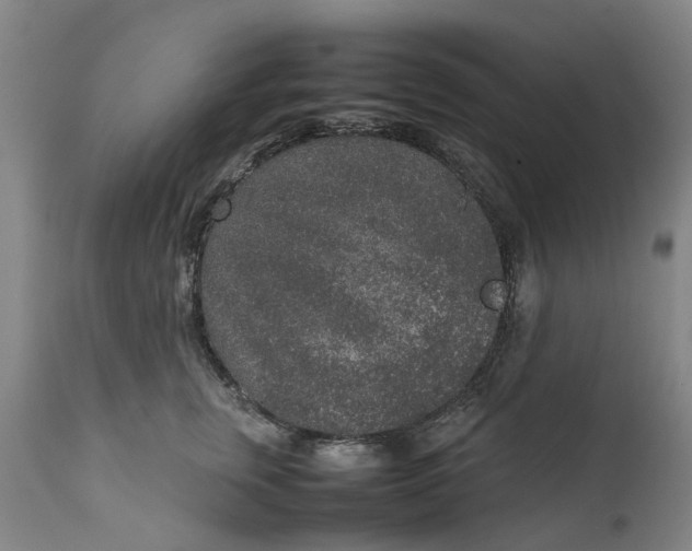 X0000111650759200907311316