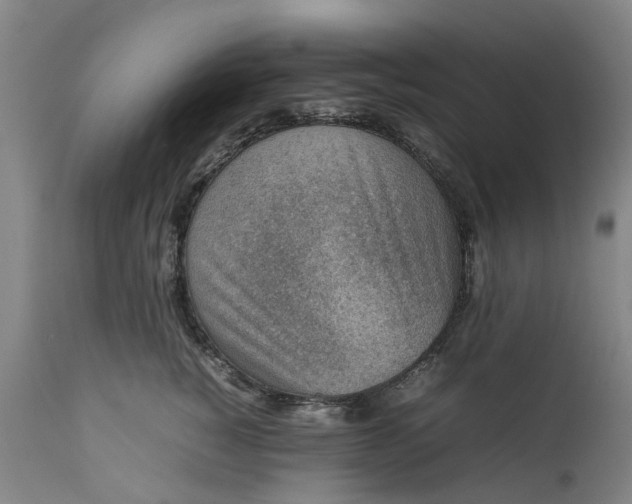X0000111650760200907311316