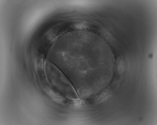 X0000111650762200907311316