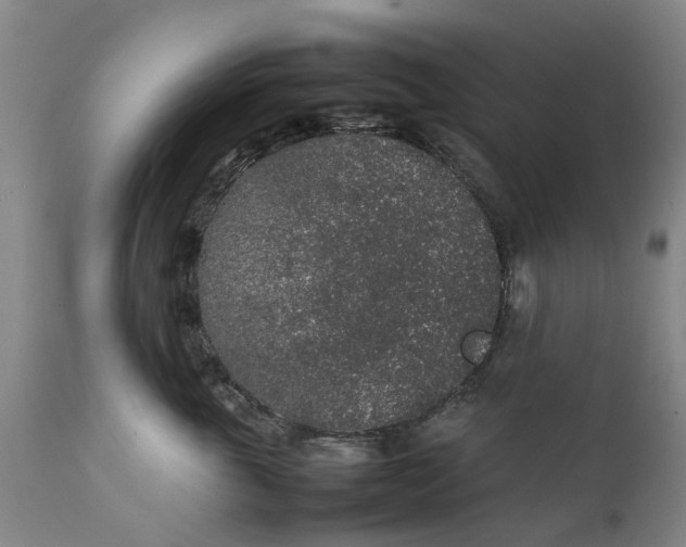 X0000111650763200907311316