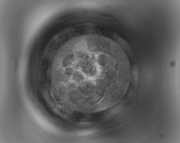 X0000111650765200907311316