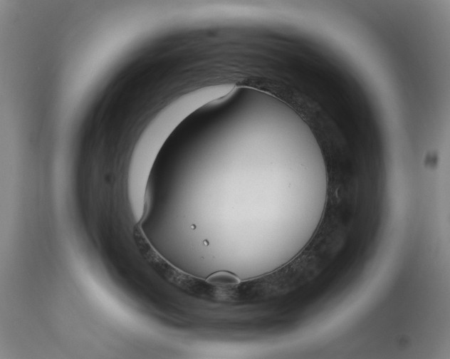 X0000111650766200907311316