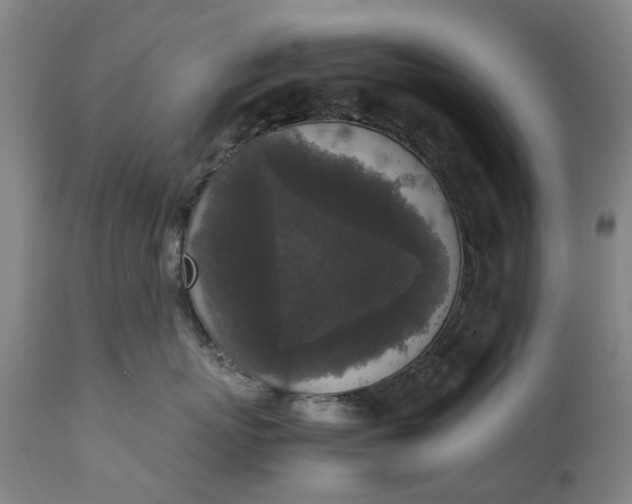 X0000111650767200907311316