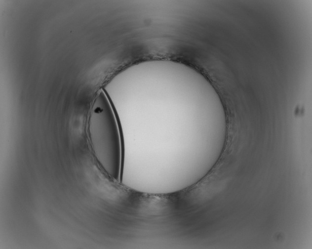 X0000111650768200907311316