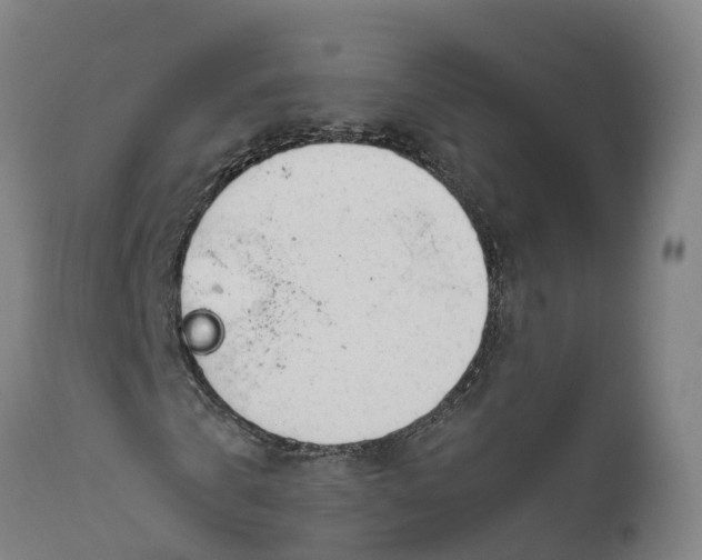 X0000111650769200907311316