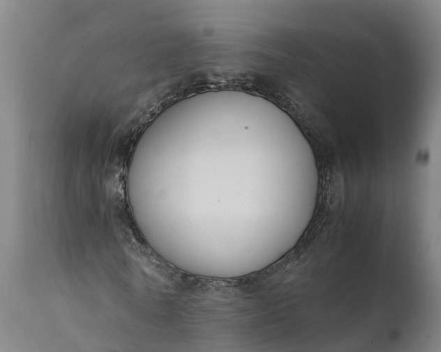 X0000111650770200907311316