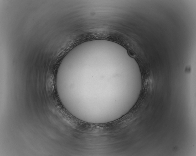 X0000111650772200907311316