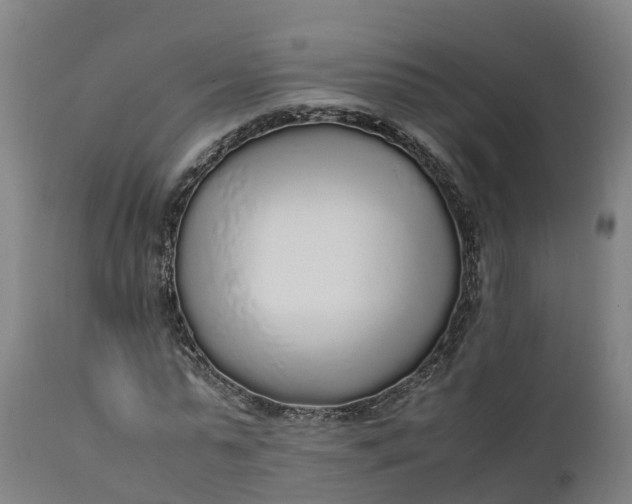 X0000111650775200907311316