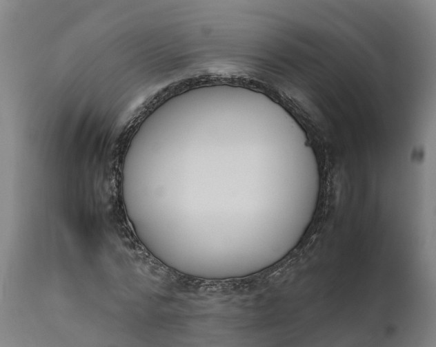 X0000111650776200907311316