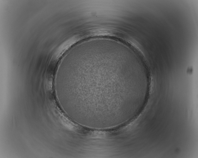 X0000111650777200907311316