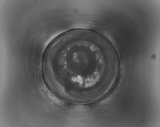 X0000111650779200907311316