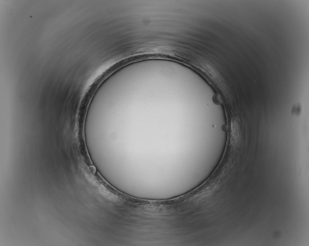 X0000111650780200907311316
