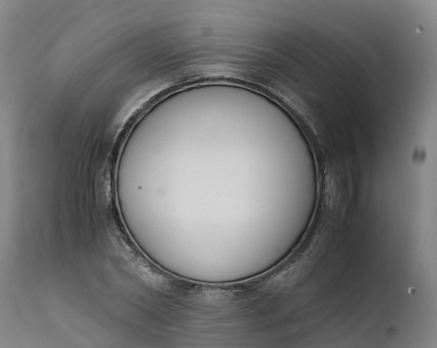 X0000111650782200907311316
