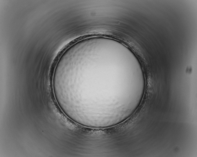 X0000111650784200907311316