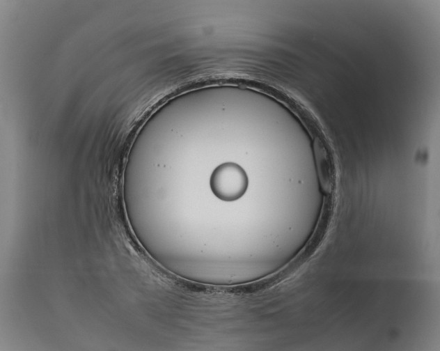 X0000111650785200907311316