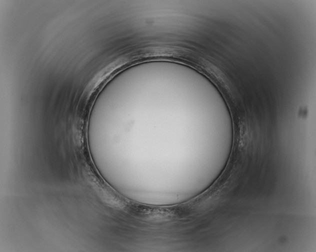 X0000111650786200907311315