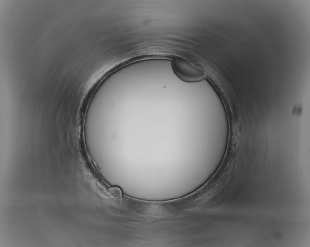 X0000111650787200907311315