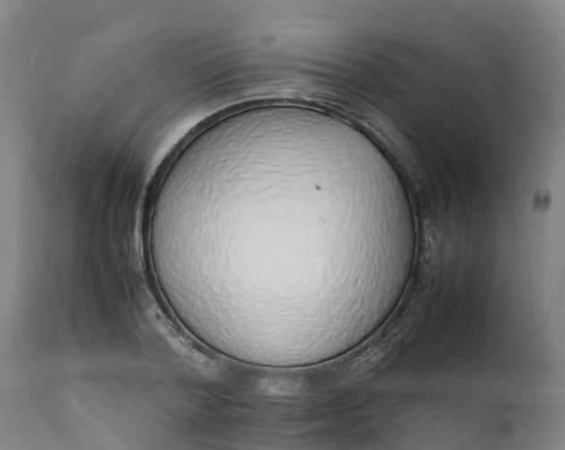 X0000111650788200907311315