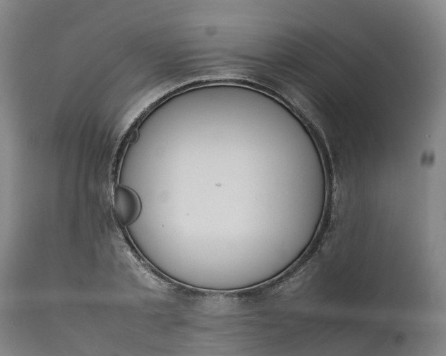 X0000111650789200907311315