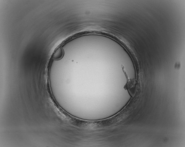 X0000111650791200907311315