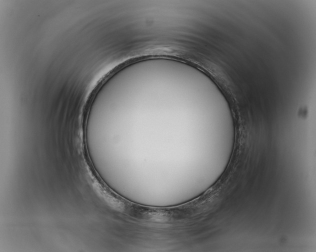 X0000111650792200907311315