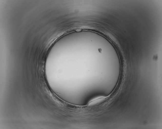 X0000111650793200907311315
