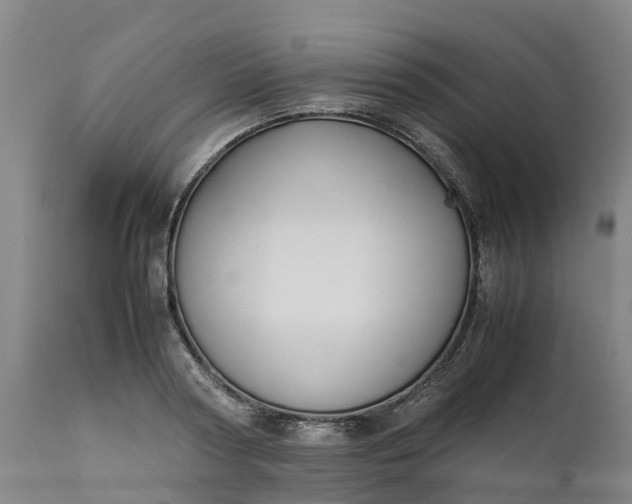 X0000111650794200907311315