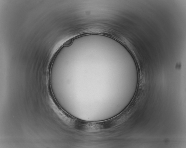 X0000111650795200907311315