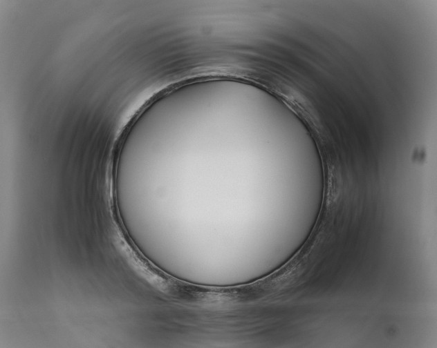 X0000111650796200907311315
