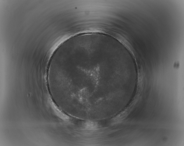 X0000111650797200907311315