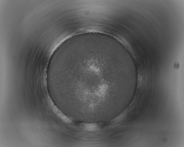 X0000111650798200907311315