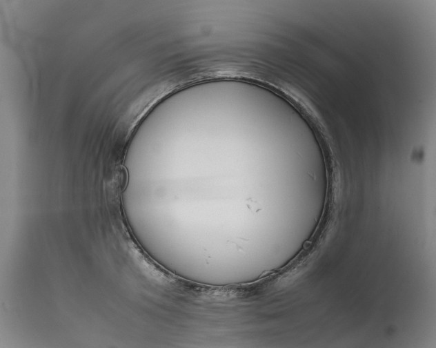 X0000111650801200907311315