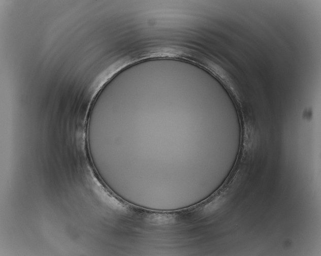 X0000111650802200907311315