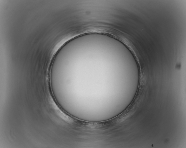 X0000111650803200907311315