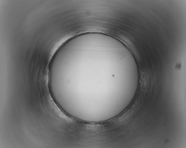 X0000111650804200907311315