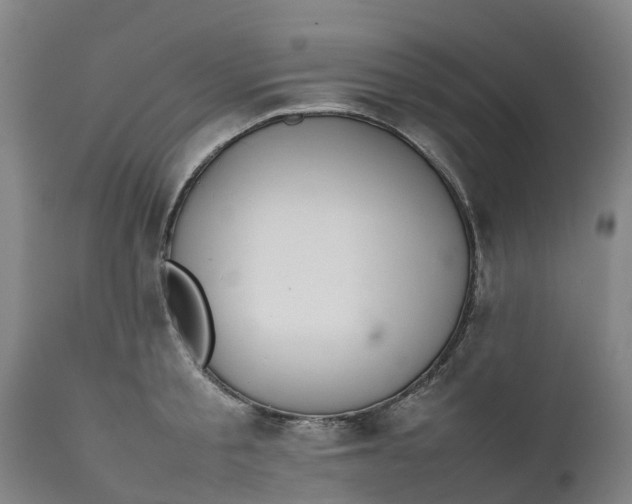 X0000111650805200907311315
