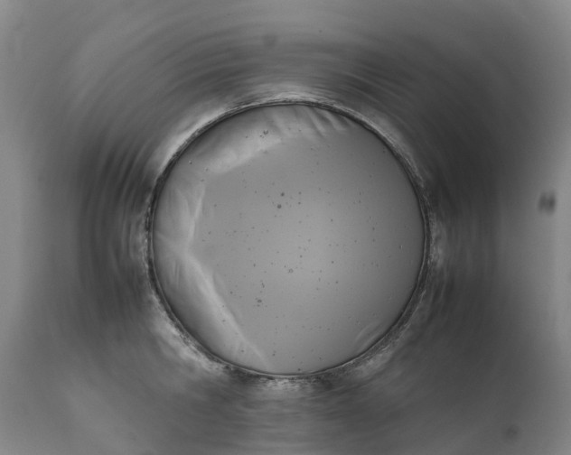 X0000111650806200907311315